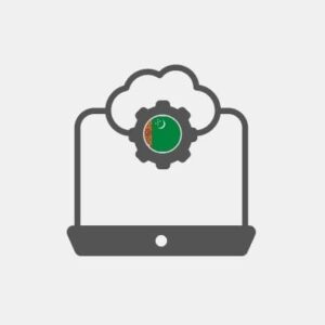 Turkmenistan Systems integration