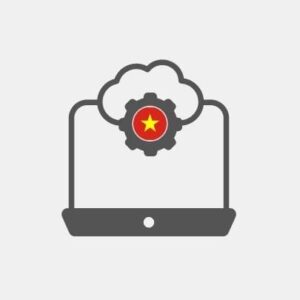 Viet nam Systems integration