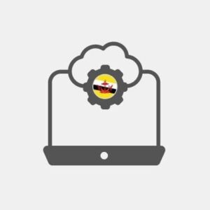 Brunei Systems integration