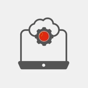 China Systems integration