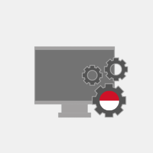 Monaco Computer Maintenance
