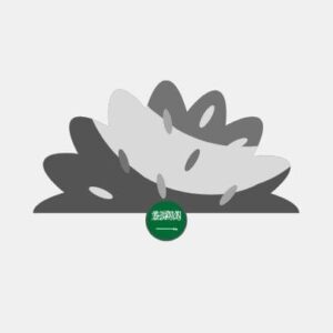 Saudi Arabia natural grass Reseller