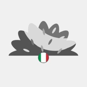 Italy natural grass Reseller