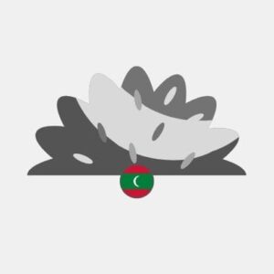 Maldives natural grass Reseller
