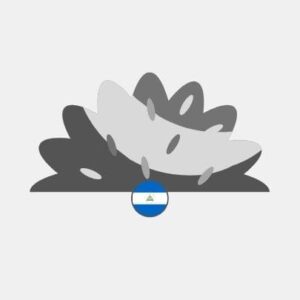 Nicaragua natural grass Reseller
