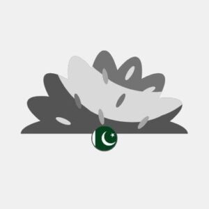 Pakistan natural grass Reseller
