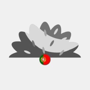 Portugal natural grass Reseller