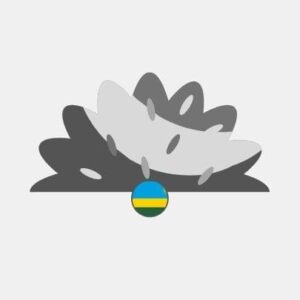 Rwanda natural grass Reseller