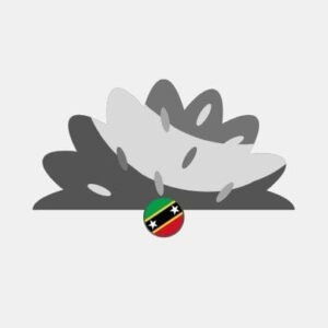 Saint Kitts and Nevis natural grass Reseller