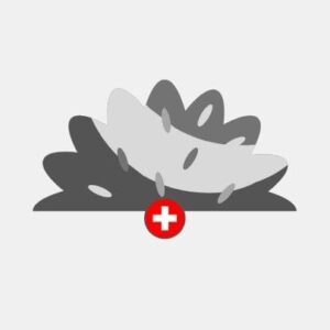 Switzerland natural grass Reseller