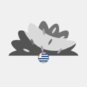 Uruguay natural grass Reseller