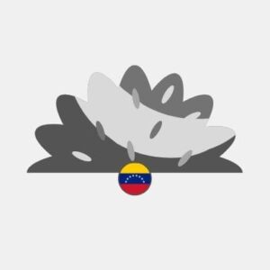 Venezuela natural grass Reseller