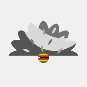 Zimbabwe natural grass Reseller