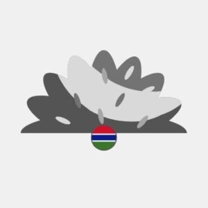 Gambia natural grass Reseller