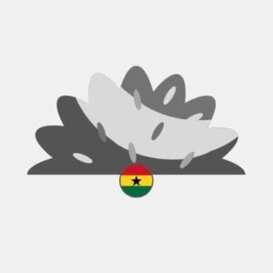 Ghana natural grass Reseller