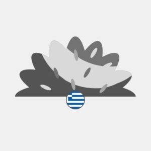 Greece natural grass Reseller
