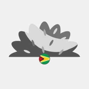 Guyana natural grass Reseller