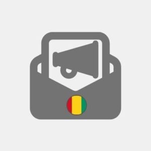 Guinea Pack Emailing - Marketing