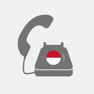 Teleconsultant pack Monaco - VoiP Line