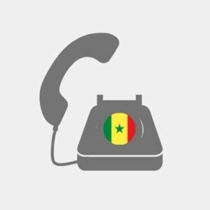 Teleconsultant pack Senegal - VoiP Line