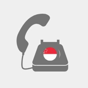 Teleconsultant pack Singapore - VoiP Line