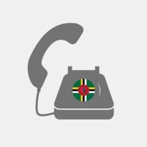 Teleconsultant pack Dominica - VoiP Line