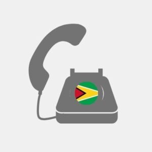 Teleconsultant pack Guyana - VoiP Line
