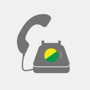 Teleconsultant pack French Guiana - VoiP Line