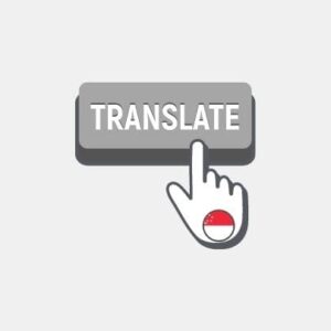 Singapore Professional translation