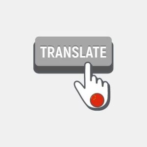China Professional translation