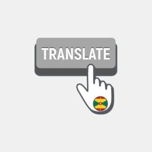 Grenade Professional translation