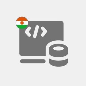 Niger Computer programming