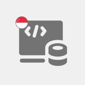 Singapore Computer programming