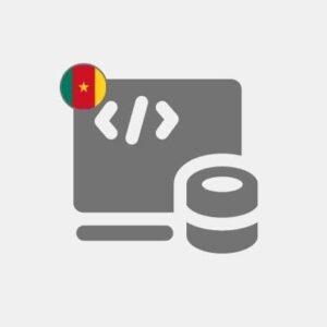 Programación informática de Camerún