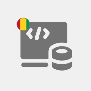 Guinea Computer programming
