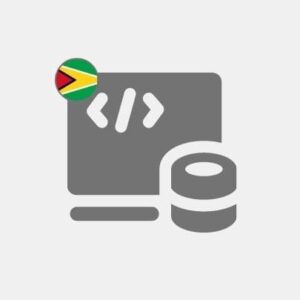 Guyana Computer programming
