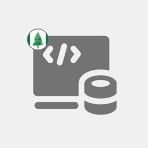 Norfolk Island Computer programming