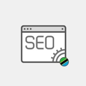 Tanzania SEO for website - Marketing