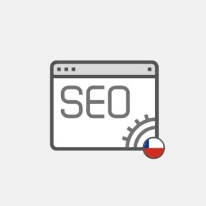 Chile SEO for website - Marketing