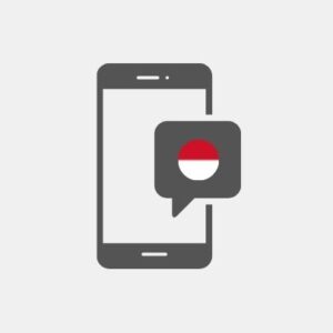 Monaco SMS Marketing - Service