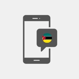 Mozambique SMS Marketing - Service