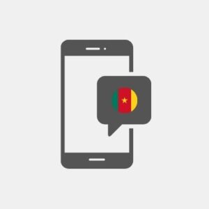 SMS маркетинг в Камерун - Услуги