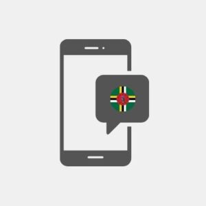 Dominica SMS Marketing - Service