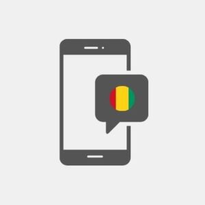 Guinea SMS Marketing - Service