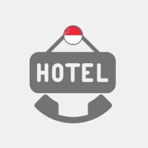 Solution for Hotel Singapore - Voip