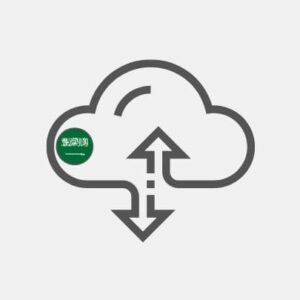 Saudi Arabia storage & backup Reseller