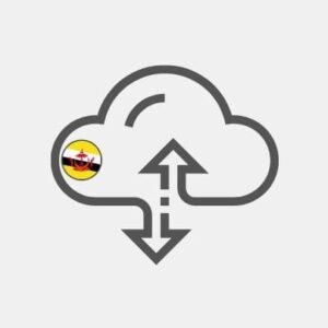 Brunei storage & backup Reseller