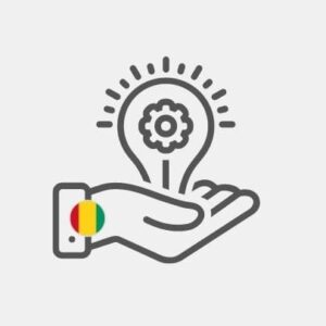 Search for suppliers in Guinea
