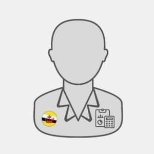 Brunei Accountant specialist