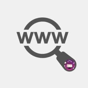 web professional.pw - Web domain